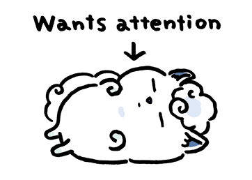 ลายที่ 15