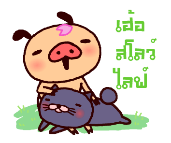 ลายที่ 23