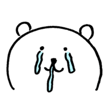 10636307