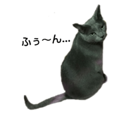 106373305