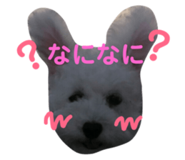 106390821