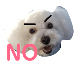 106390825