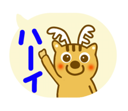 10648421