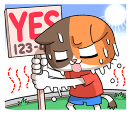 10660812