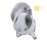 106615425