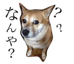 106671566