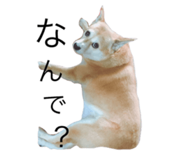 106671567