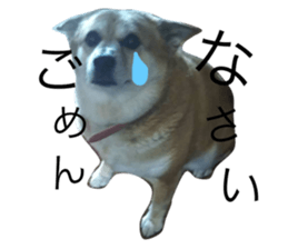 106671571