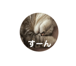 106721291