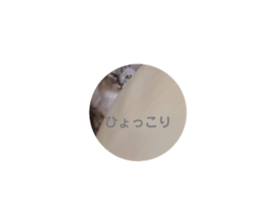 106721299