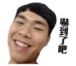 106990539