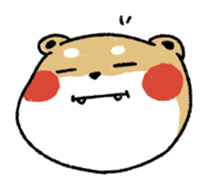 107031958