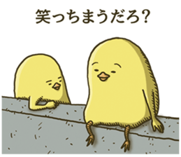 10703708