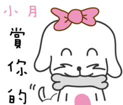 107047879