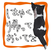 10749675