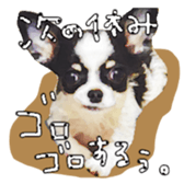 10749677