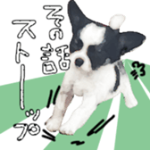 10749678