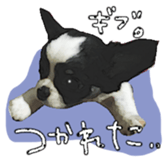 10749680