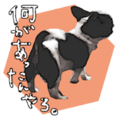 10749682