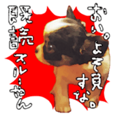 10749685