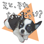 10749688