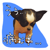10749690