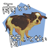 10749695