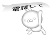 10752733