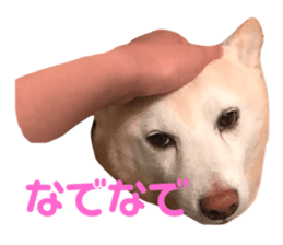 107678650