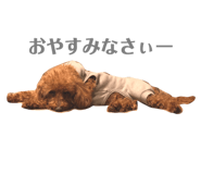 107751464