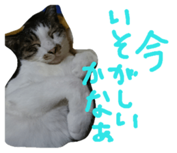 107789779