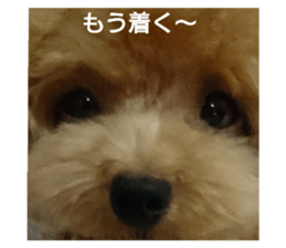 108014085