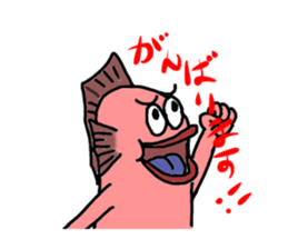 10802576