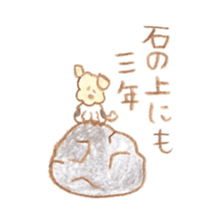 1080428
