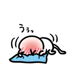 10807194