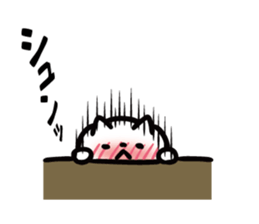 10807210