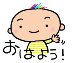 10845905