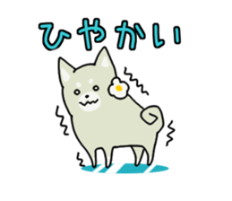 10867050