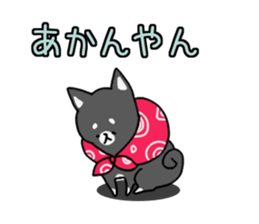 10867056