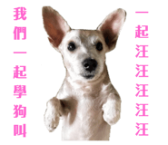 108869255