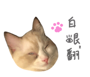108887457
