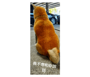 108951030