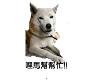108951036
