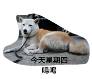 108951040