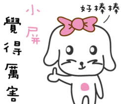 109102917