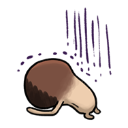 เห็ด Nameko รูปที่ 9