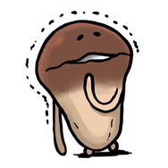 เห็ด Nameko รูปที่ 11