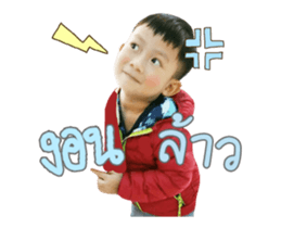109561208