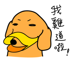 10967576