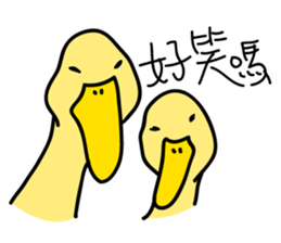 10967604